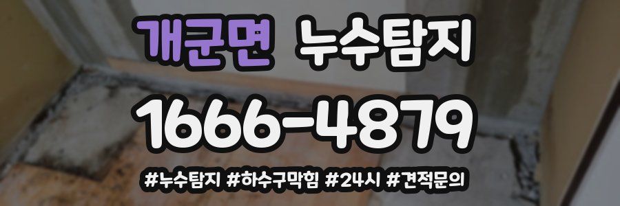누수닥터 누수탐지