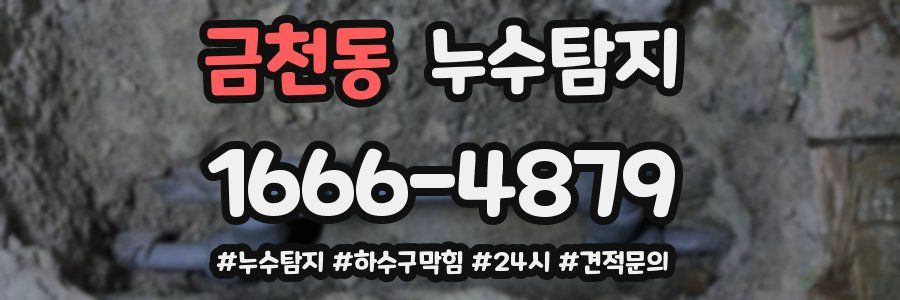 누수닥터 누수탐지