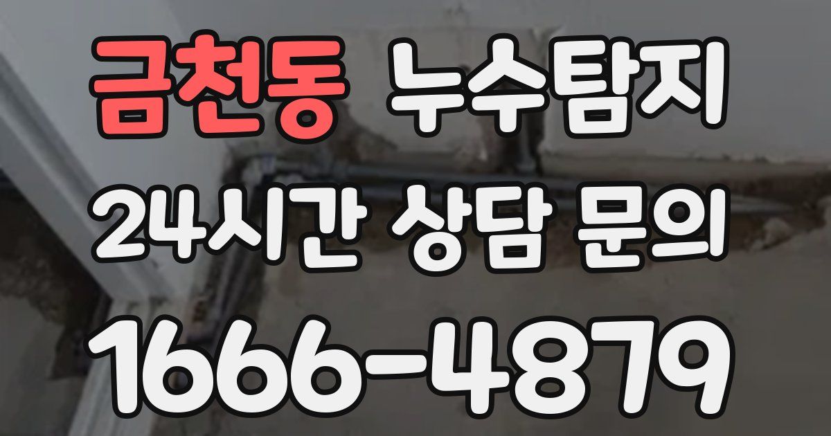 하수구막힘
