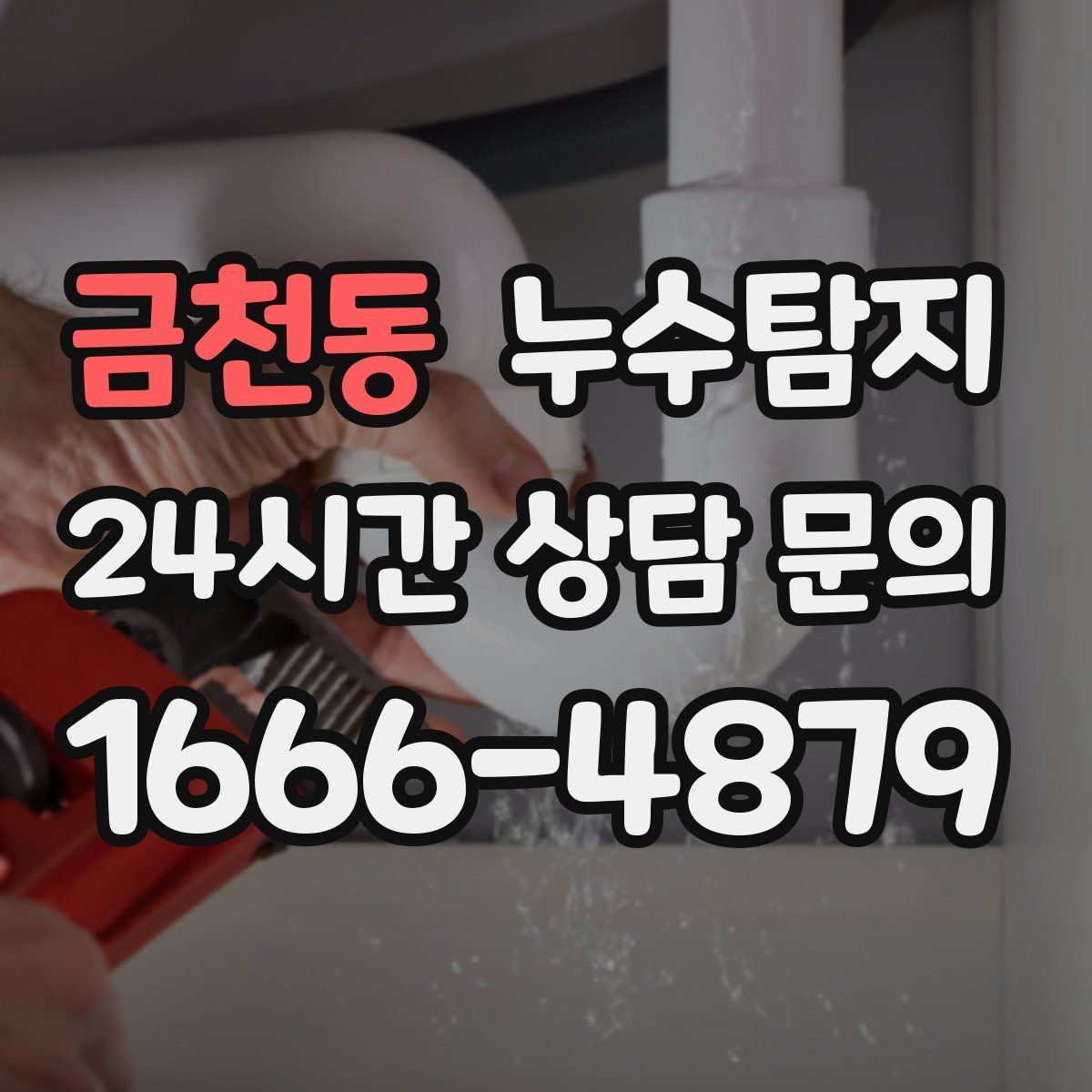 누수탐지