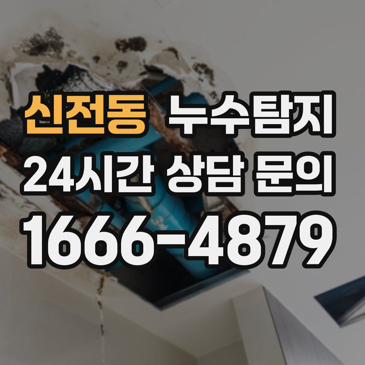 누수탐지