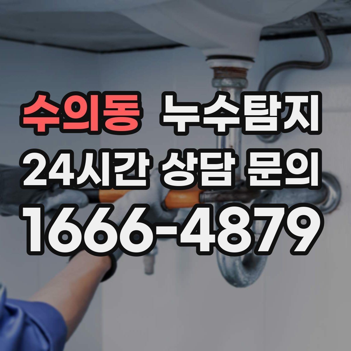 수의동 누수탐지 새집 곰팡이 원인 차단