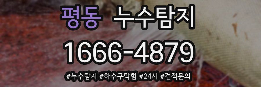 누수닥터 누수탐지