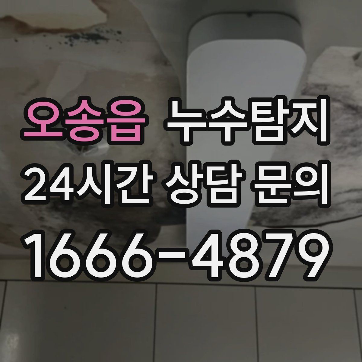 오송읍 누수탐지 바닥 습기와 장판 들뜸 해결기