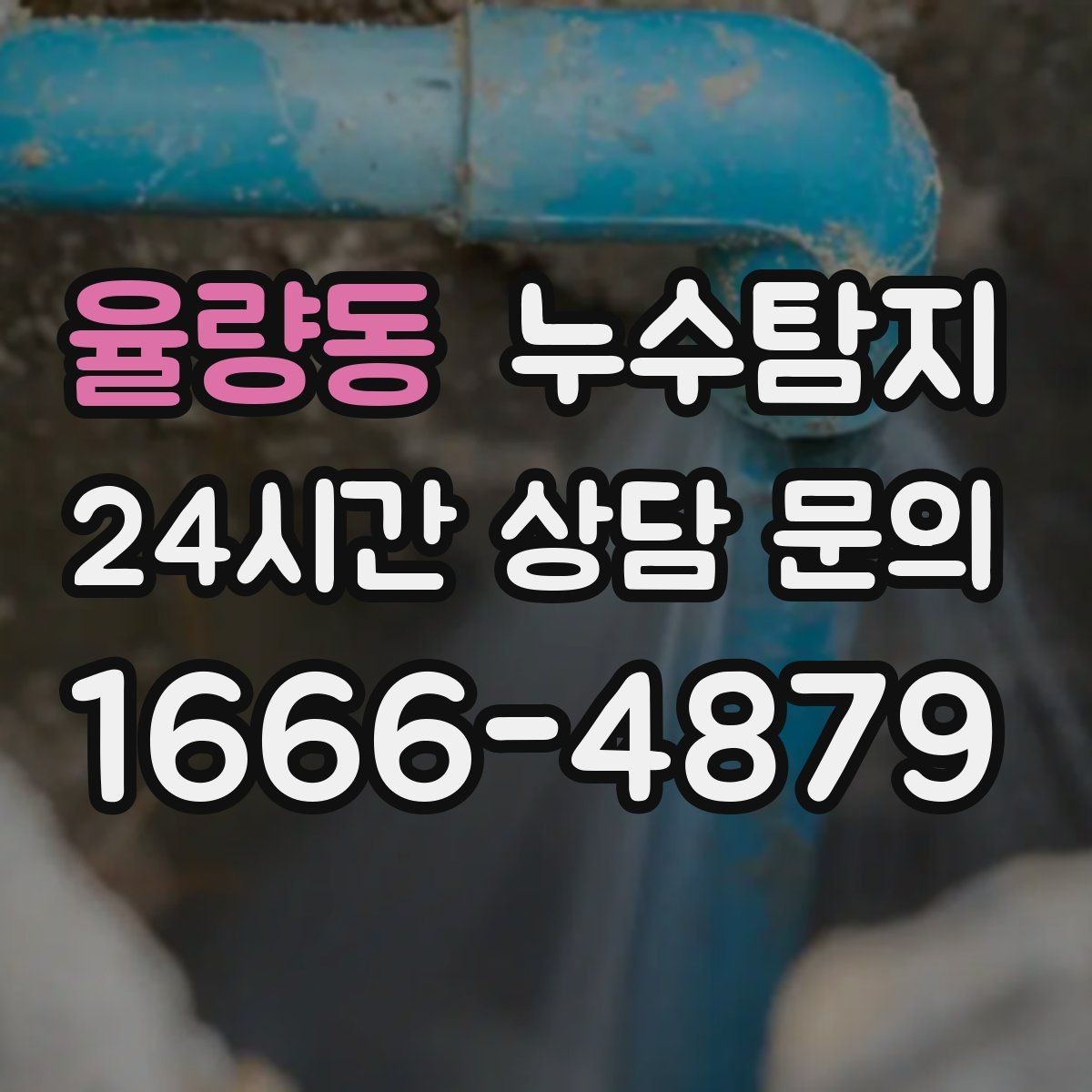율량동 누수탐지 세탁실 배수 이상 확인 일지