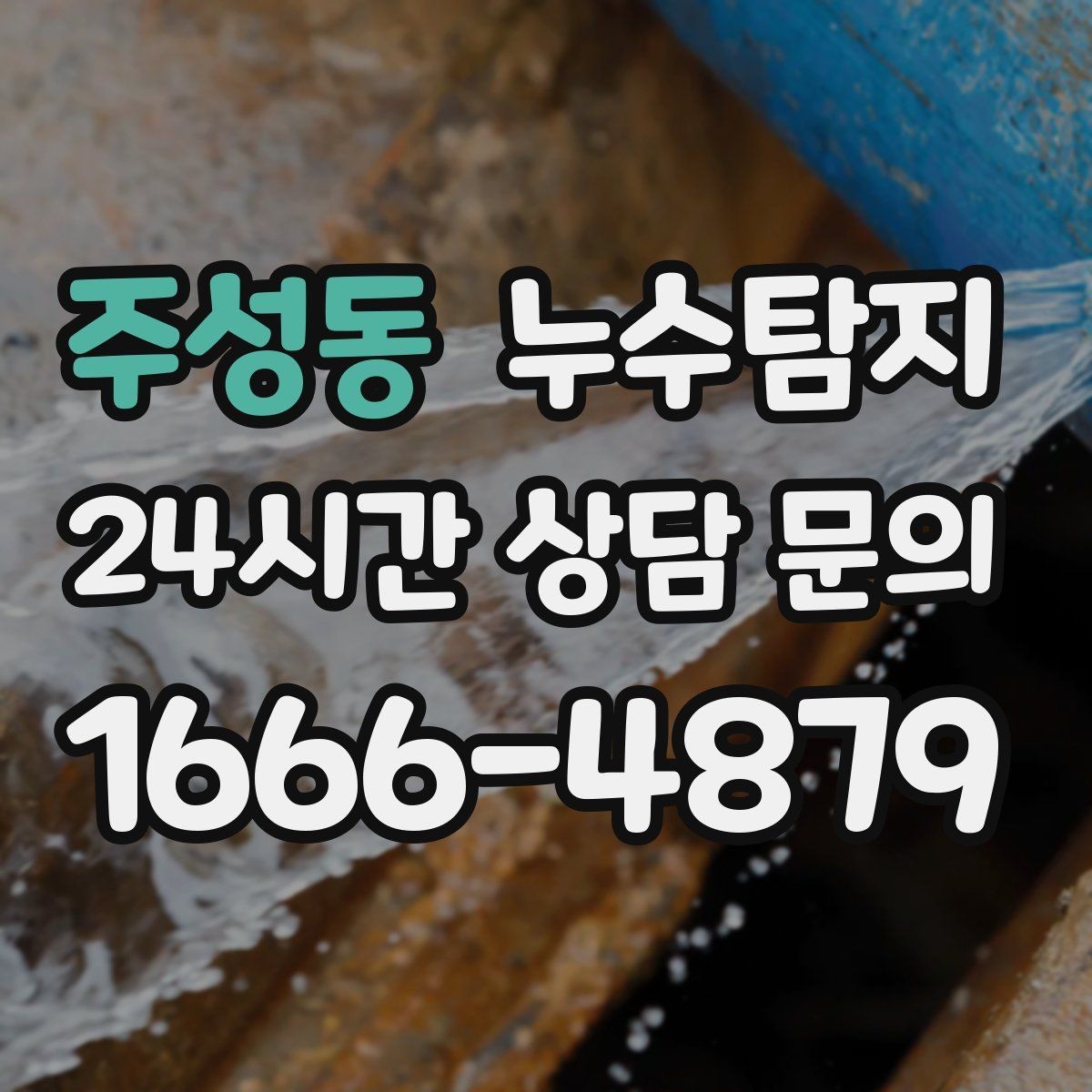 주성동 누수탐지 전문가와 동행한 하루의 기록