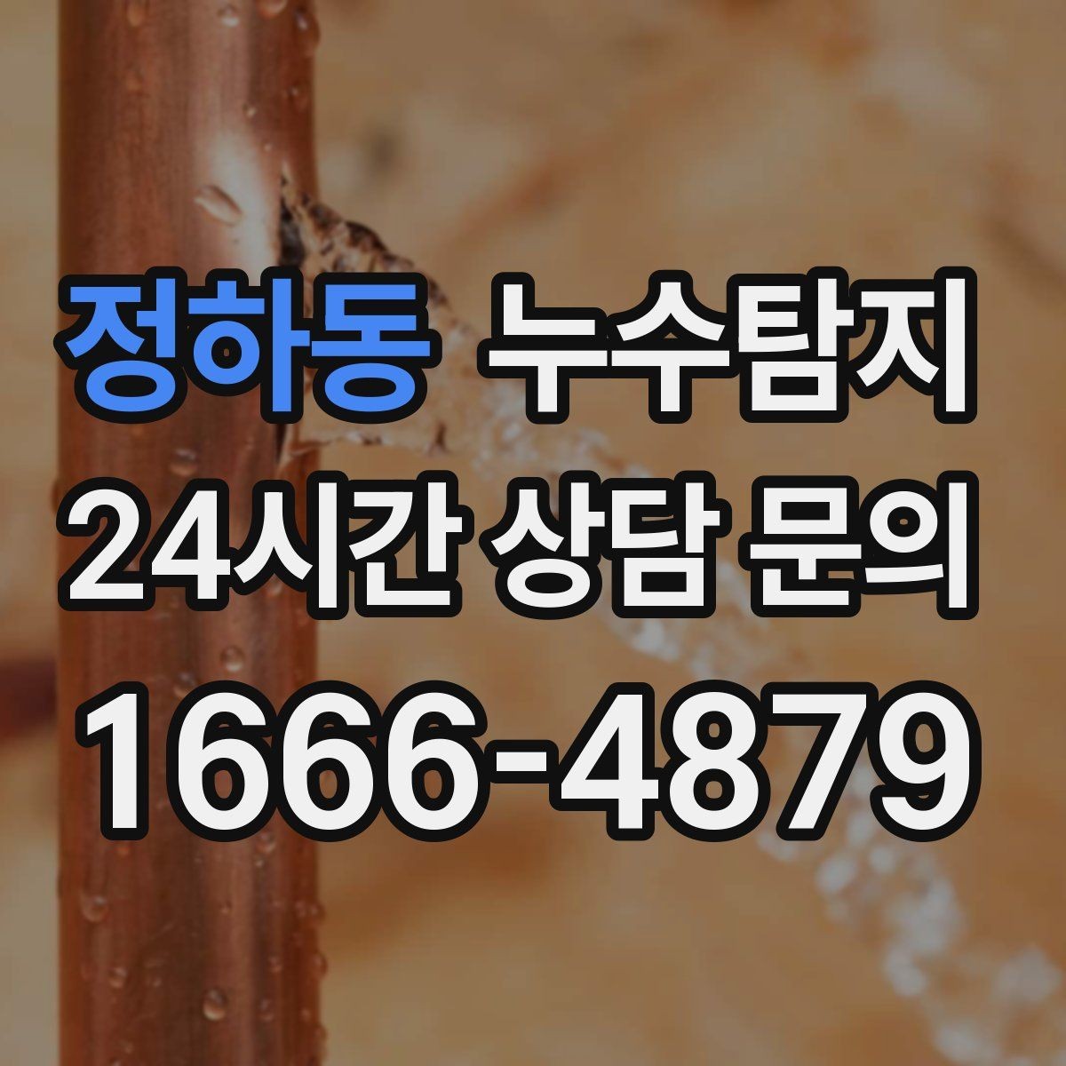 정하동 누수탐지 욕실 곰팡이 사라진 해결 과정