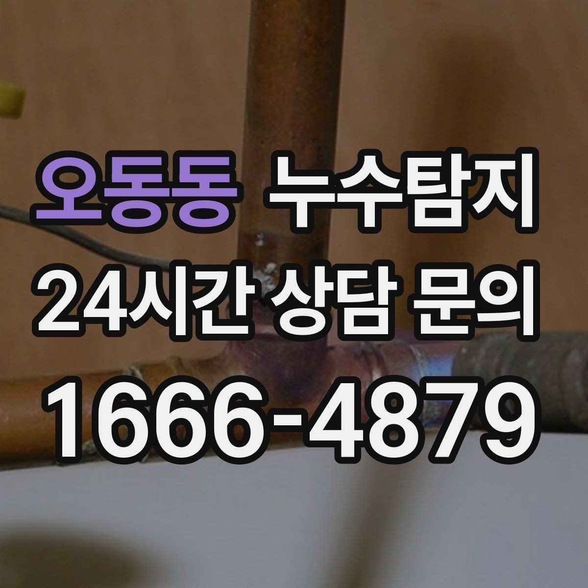 오동동 누수탐지 옥상 방수 층 상태 점검 노트