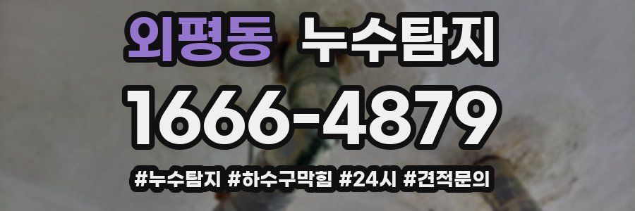 누수닥터 누수탐지