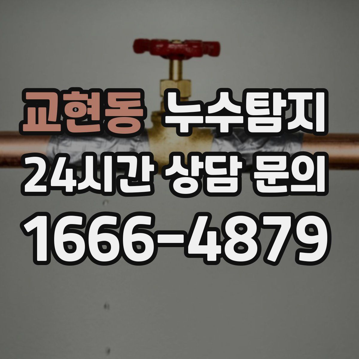 누수탐지