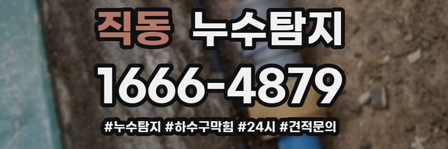 누수닥터 누수탐지