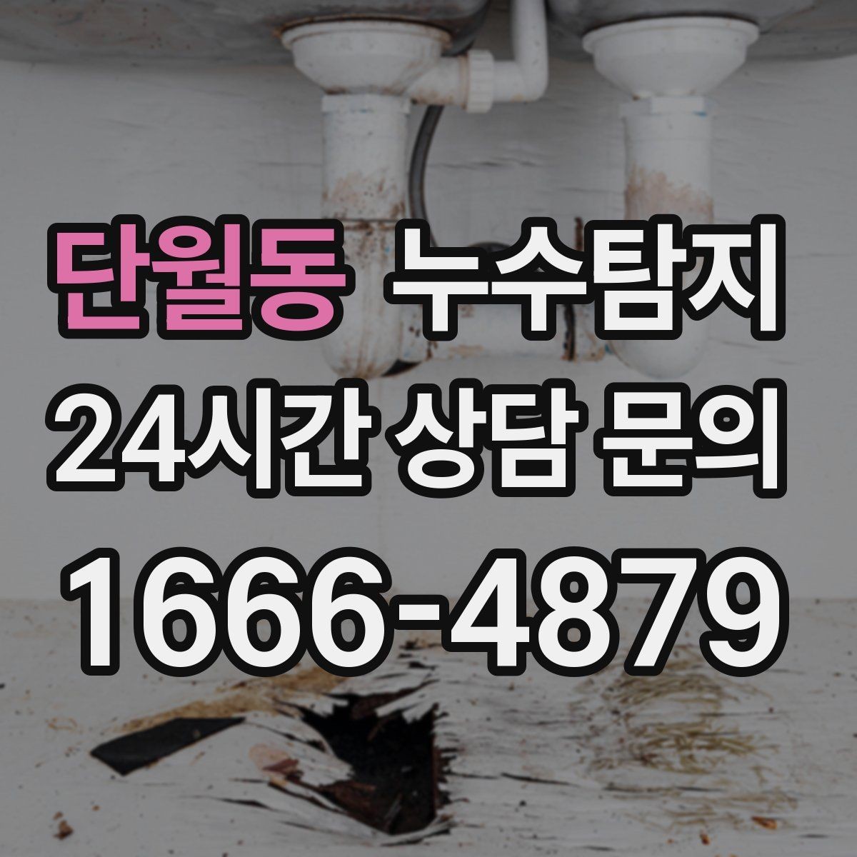 단월동 누수탐지 예약 즉시 방문 가능 지역