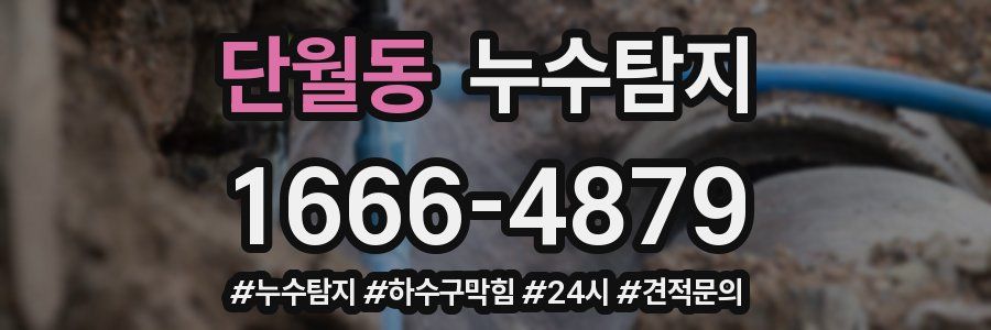 누수닥터 누수탐지
