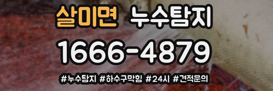 누수닥터 누수탐지