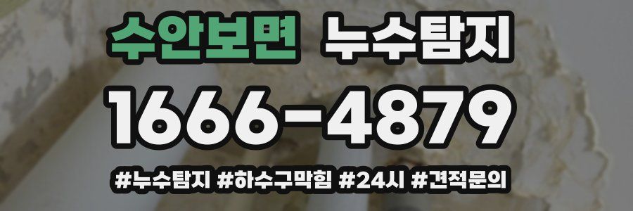 누수닥터 누수탐지
