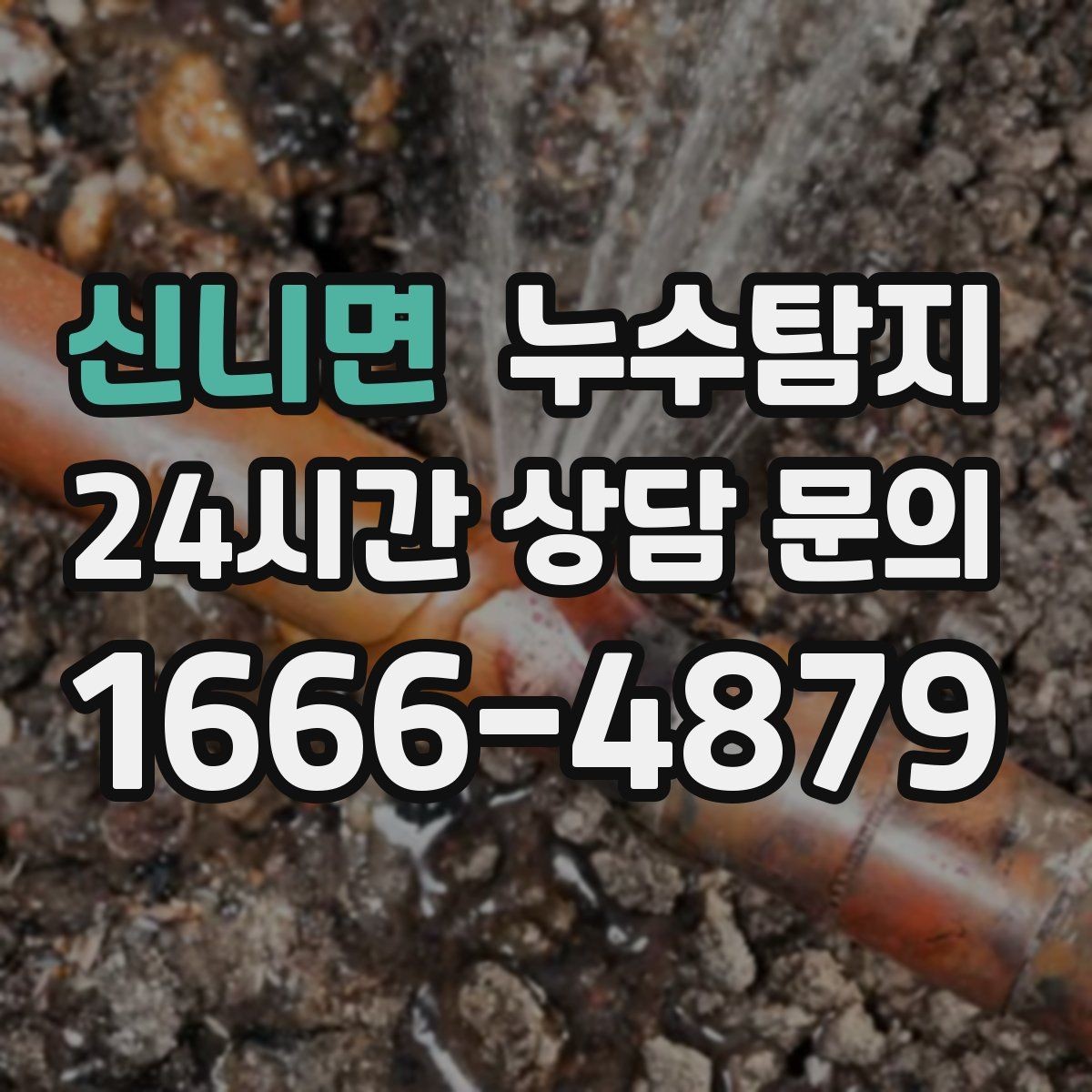신니면 누수탐지 욕실 실리콘 노화 점검