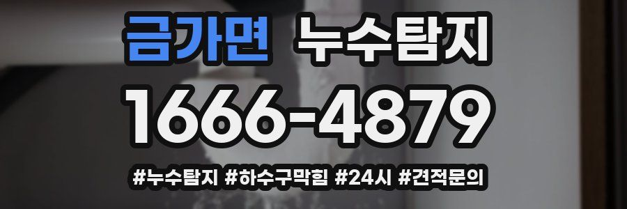 누수닥터 누수탐지