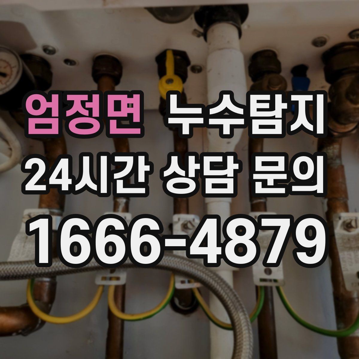 엄정면 누수탐지 실내 곰팡이와 악취 방지를 위한 방법