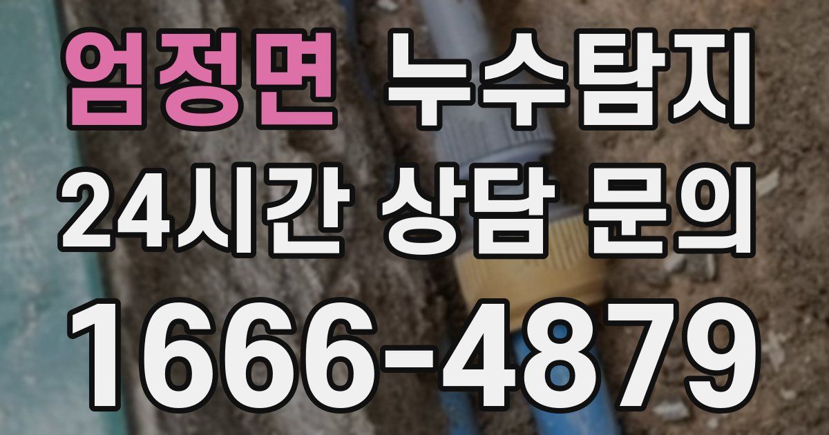 하수구막힘