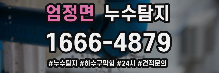 누수닥터 누수탐지