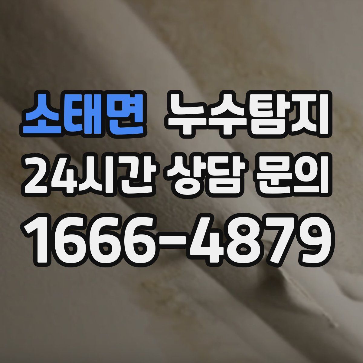 누수탐지