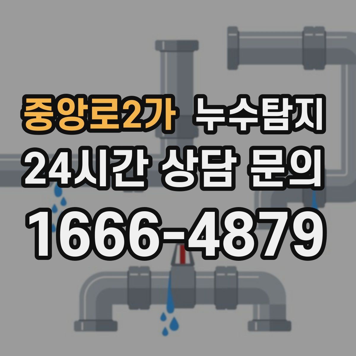 중앙로2가 누수탐지 천정 점검구 활용 빠른 판정