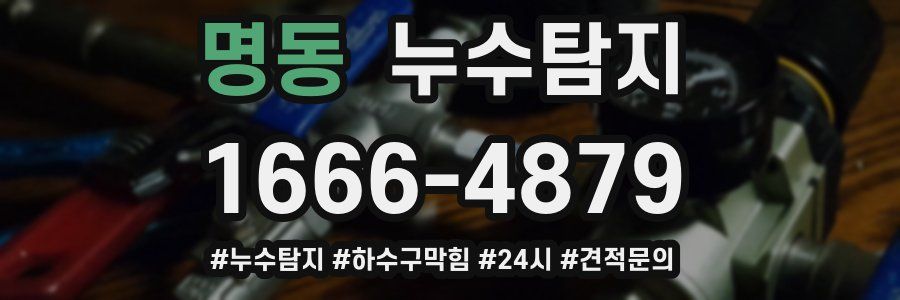 누수닥터 누수탐지