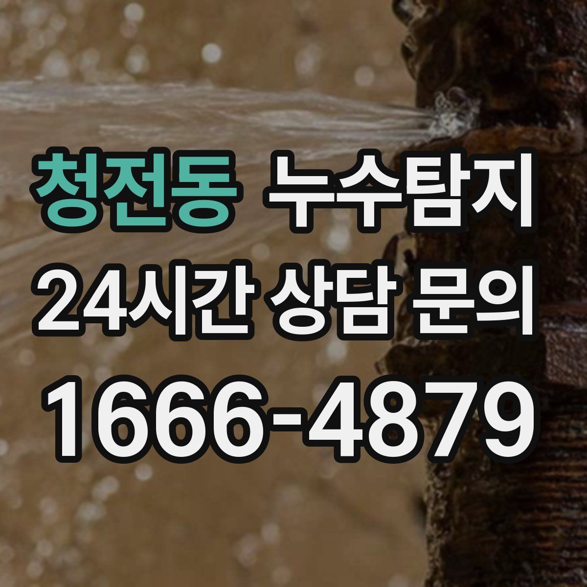 누수탐지