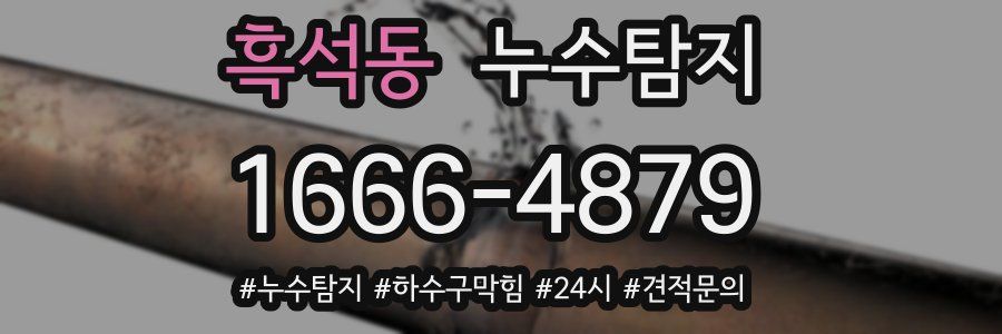 누수닥터 누수탐지