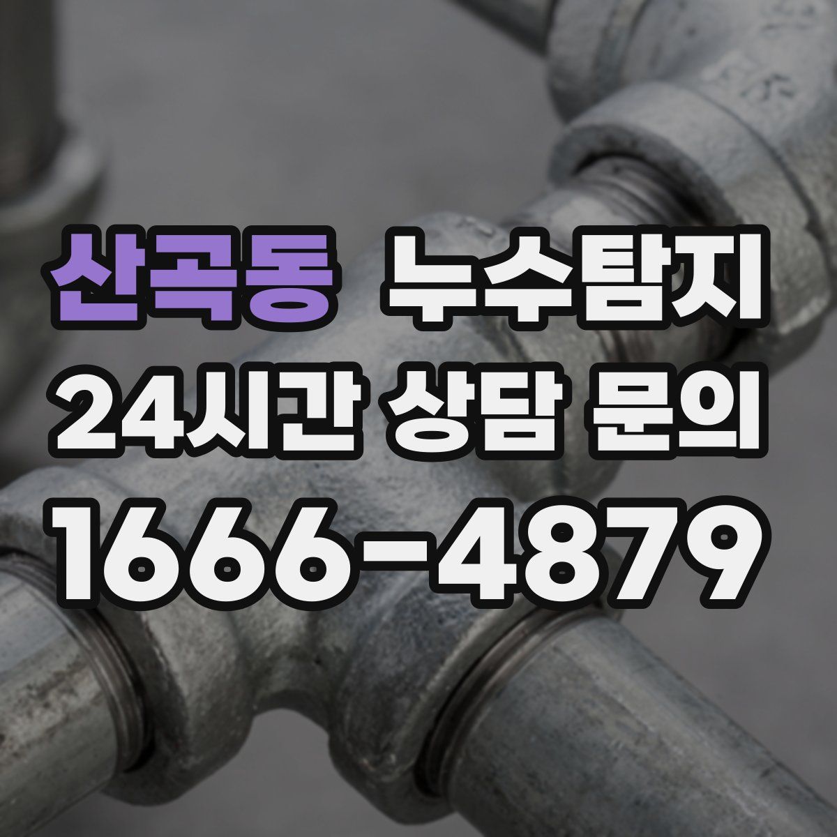 누수탐지
