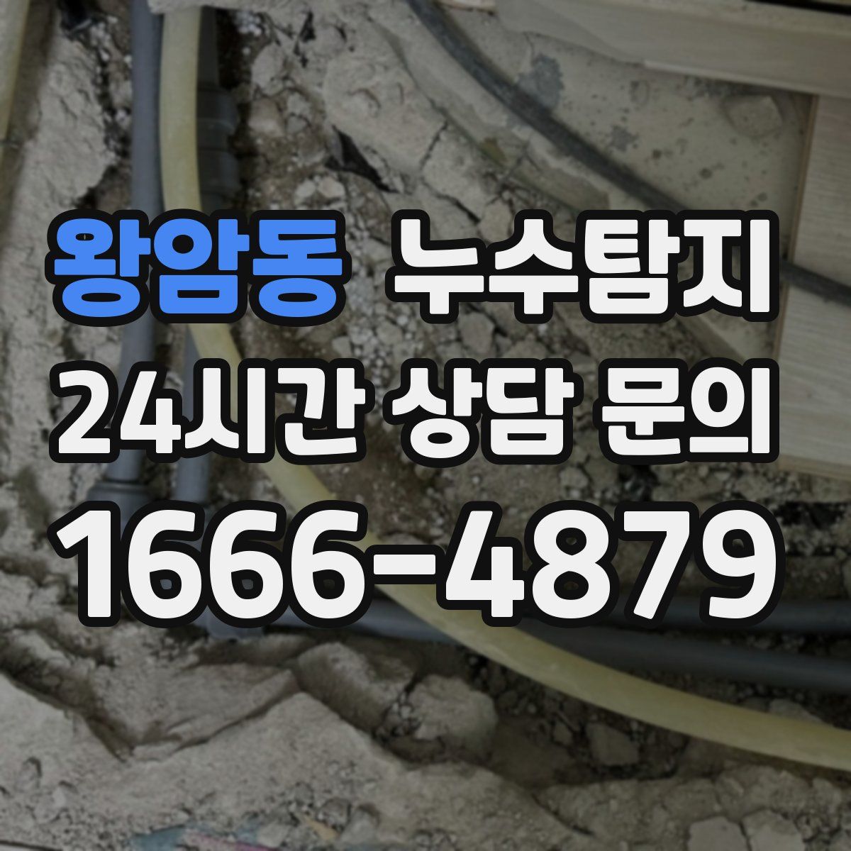 누수탐지