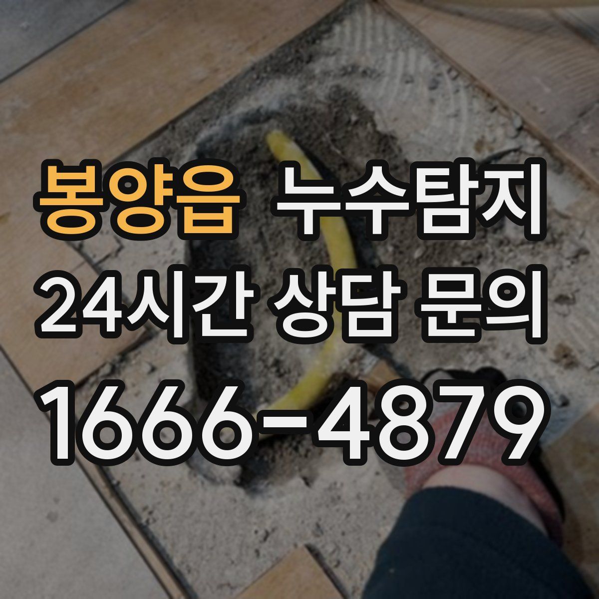 누수탐지