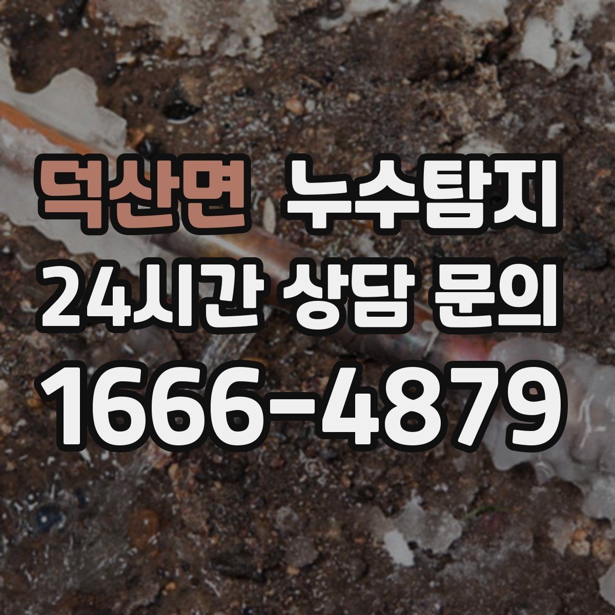 덕산면 누수탐지 반려가정 배려 점검 후기
