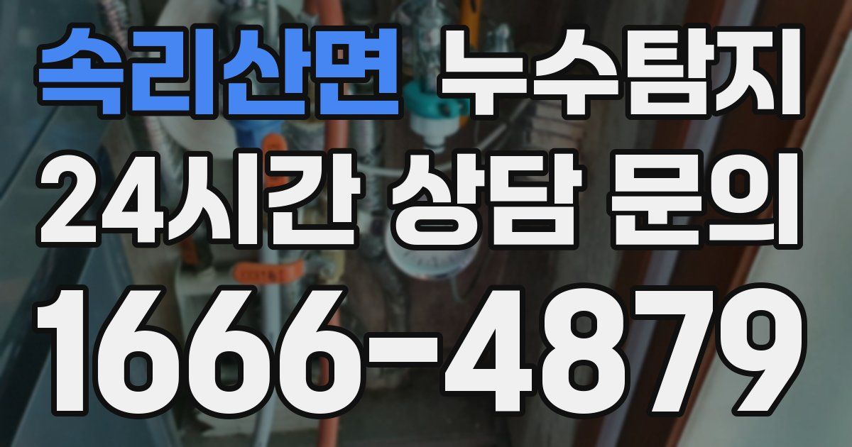 하수구막힘