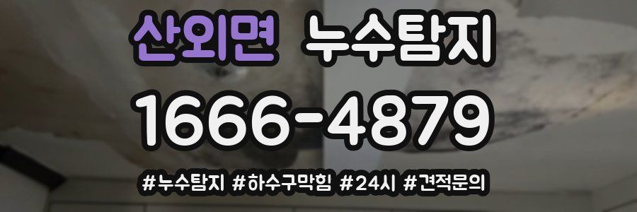 누수닥터 누수탐지