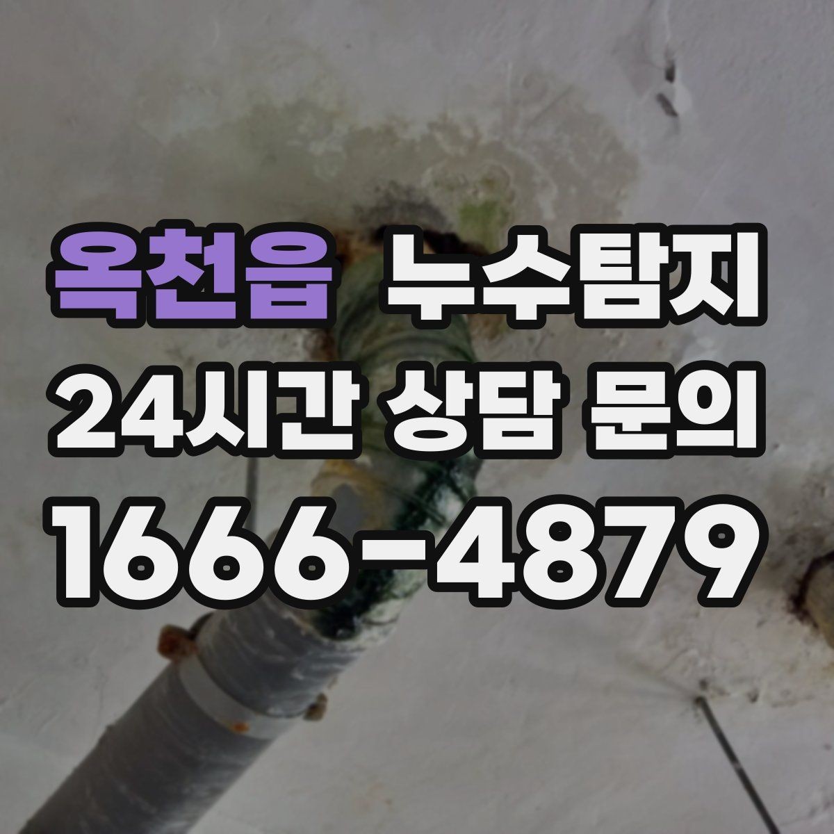 옥천읍 누수탐지 타일 틈새 점검으로 찾은 누수