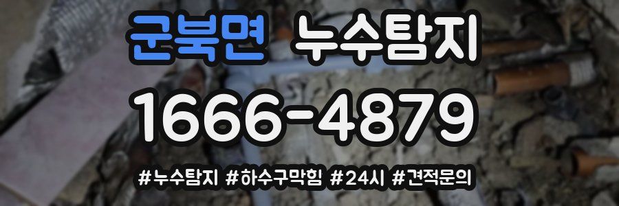 누수닥터 누수탐지