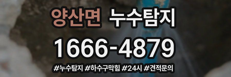 누수닥터 누수탐지