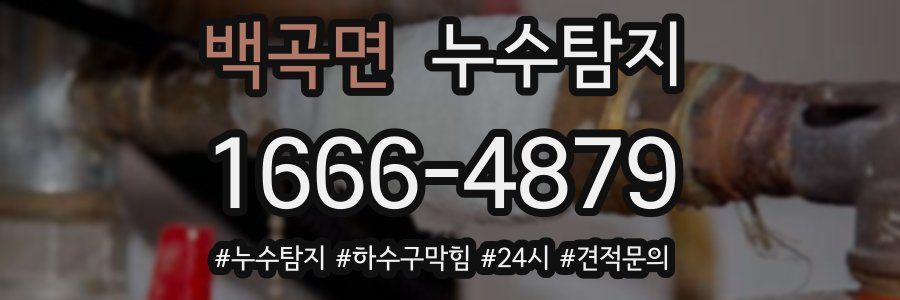 누수닥터 누수탐지