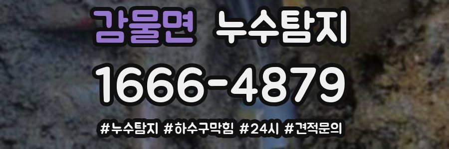 누수닥터 누수탐지
