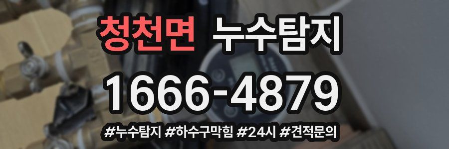 누수닥터 누수탐지