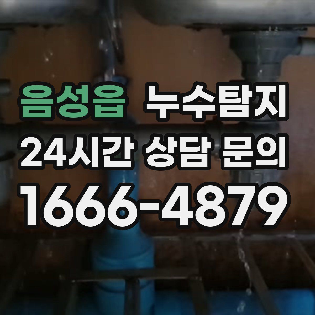 음성읍 누수탐지 공용배관 의심되는 구간 찾은 날