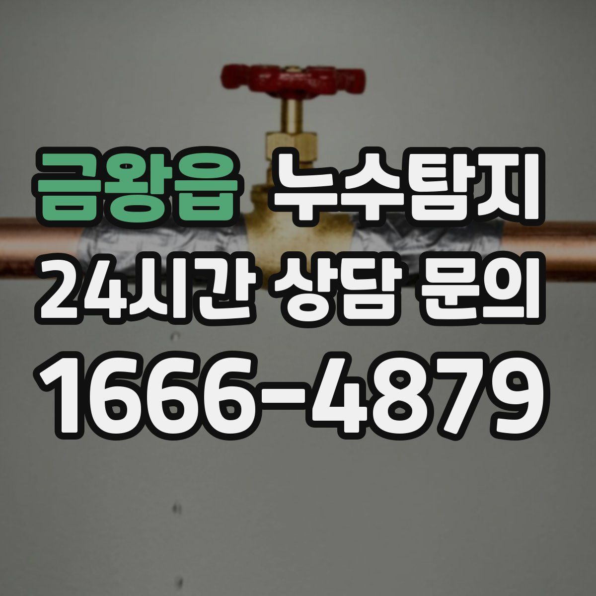 누수탐지