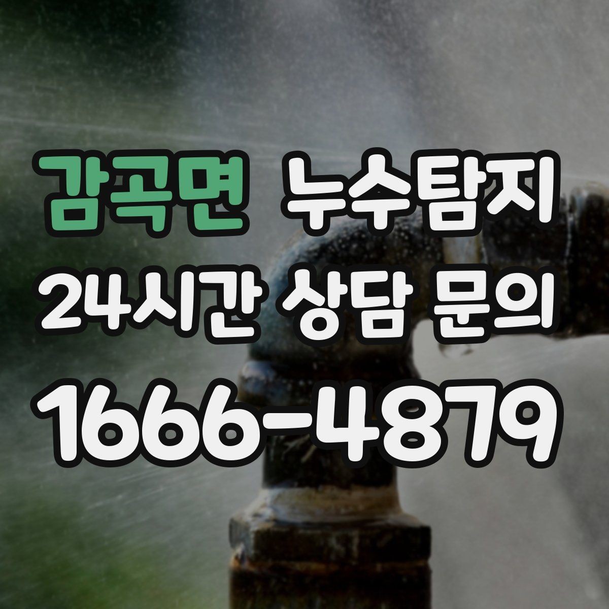 감곡면 누수탐지 보고서 읽는 법 초보 가이드