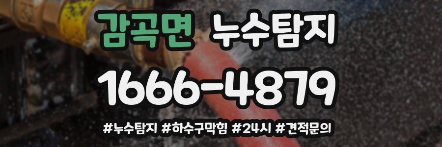 누수닥터 누수탐지