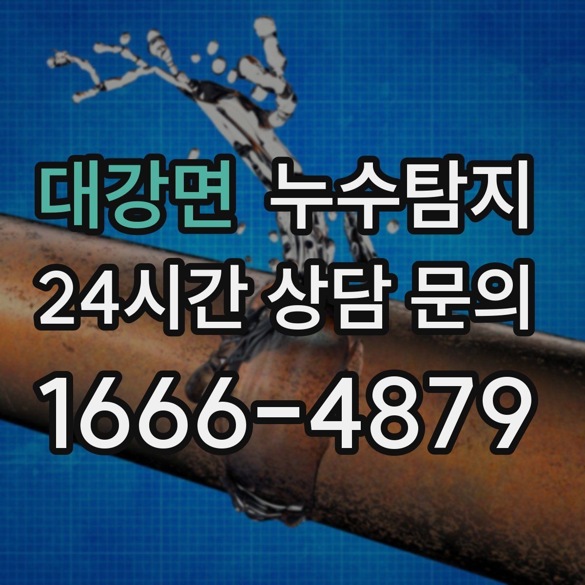 대강면 누수탐지 전문가와 동행한 하루의 기록