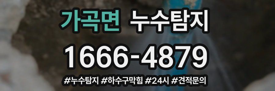 누수닥터 누수탐지