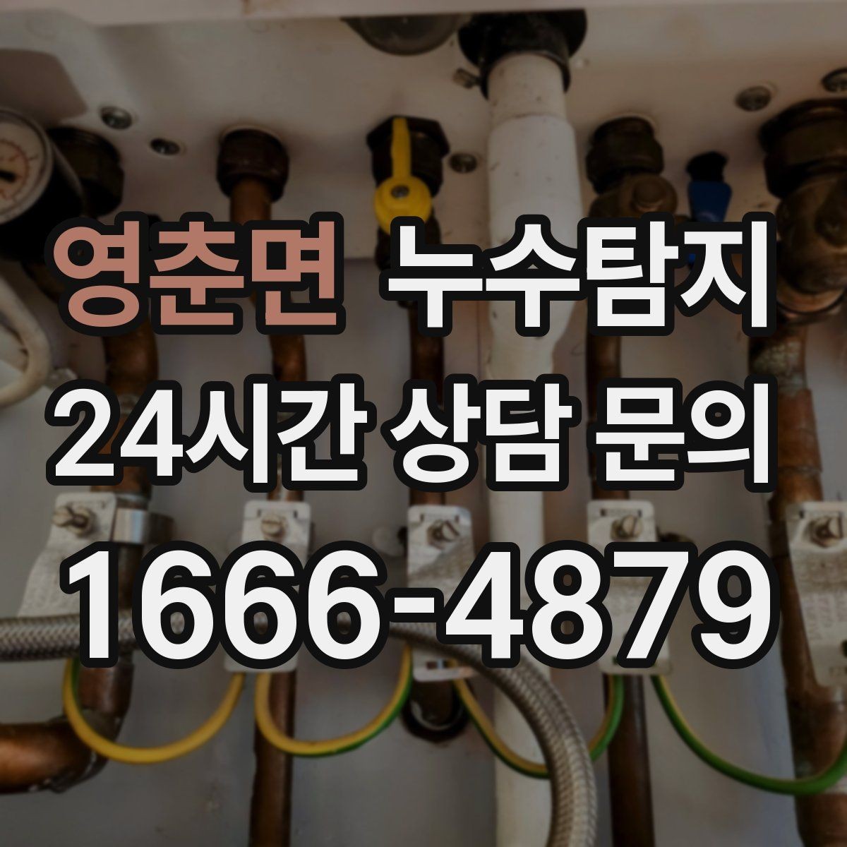 영춘면 누수탐지 사전 점검으로 일정 지킨 이야기