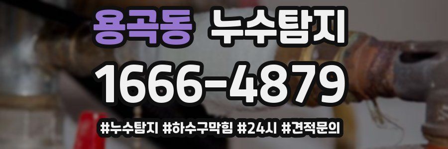 누수닥터 누수탐지