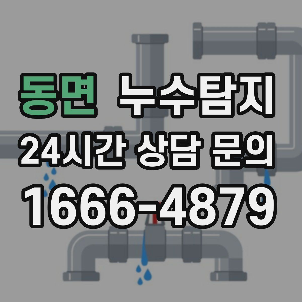 동면 누수탐지 장마 대비 옥상 점검 체크